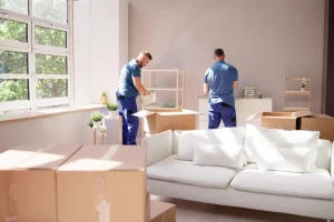 Movers Packers Dubai