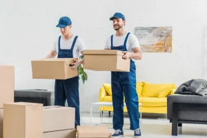 Movers Packers Dubai
