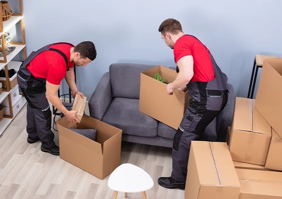 Movers Packers Dubai